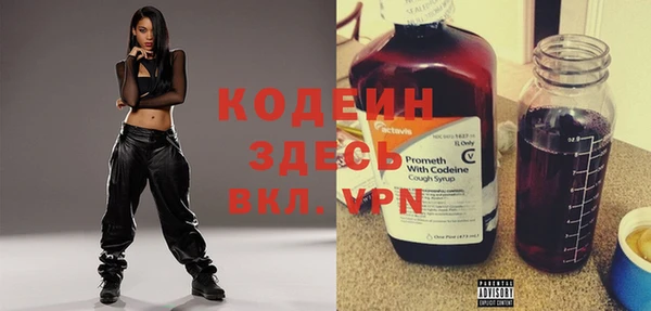 индика Бронницы