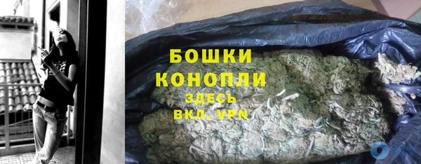 дживик Дегтярск